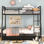 Contemporary Bunk Bed