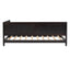 Modern Daybed / Sofa Bed