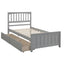 Platform Bed With Two Drawers