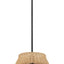 Essence - Single Lights Pendant With Shade - Black / Rattan
