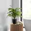 17" Tall, Artificial Plant, Dracaena, Indoor, Faux, Fake, Table, Greenery, Potted, Real Touch, Decorative - Green / Black
