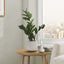 20" Tall, Artificial Plant, Zz, Indoor, Faux, Fake, Table, Greenery, Potted, Real Touch, Decorative - Green / Gray