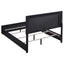 Medici - Eastern King LED Headboard Bed - Black