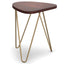 Patrice - Handcrafted Metal And Wood Accent Table