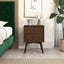 Caroline - Mid-Century Modern Style Night Stand 2 Drawer