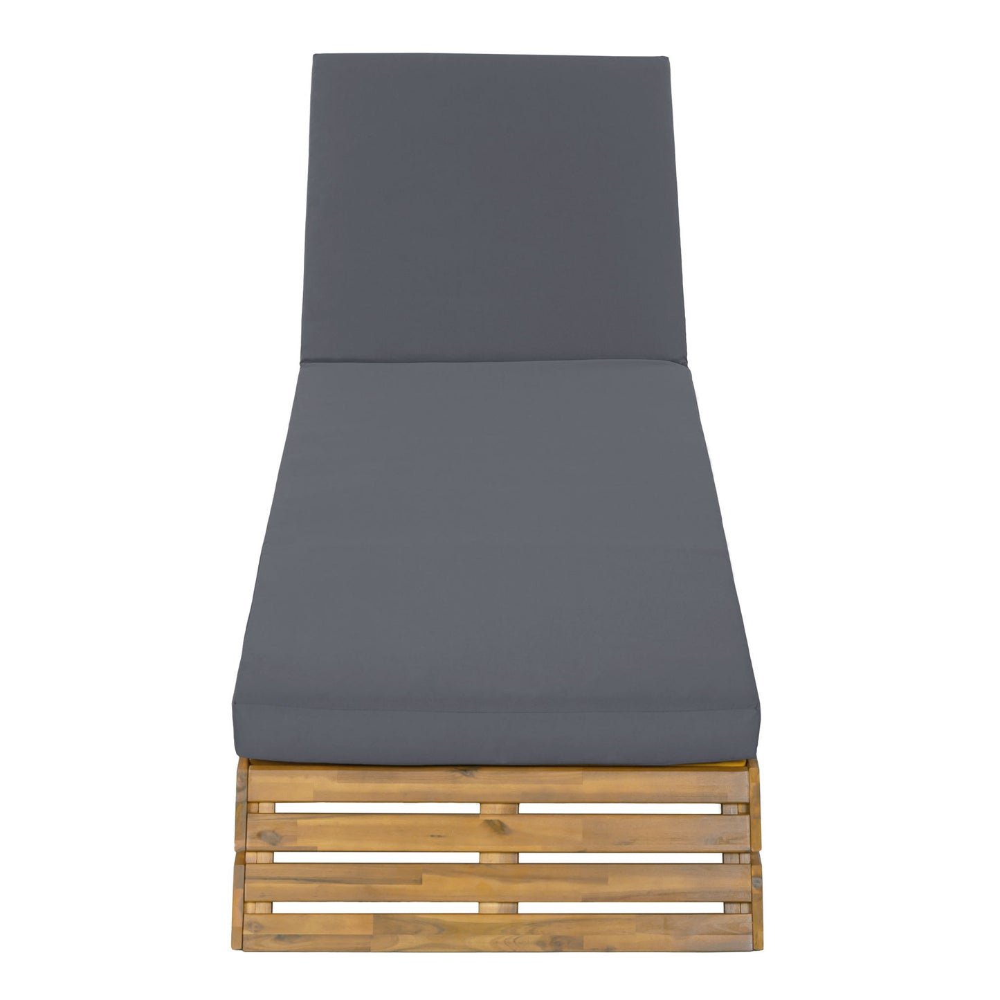 Chaise Lounge Set With 2 Fold Cushion