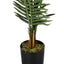 47" Tall, Artificial Plant, Palm Tree, Indoor, Faux, Fake, Floor, Greenery, Potted, Real Touch, Decorative - Green / Black