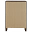 Anza - 4 Drawer Chest Storage Solution - Walnut
