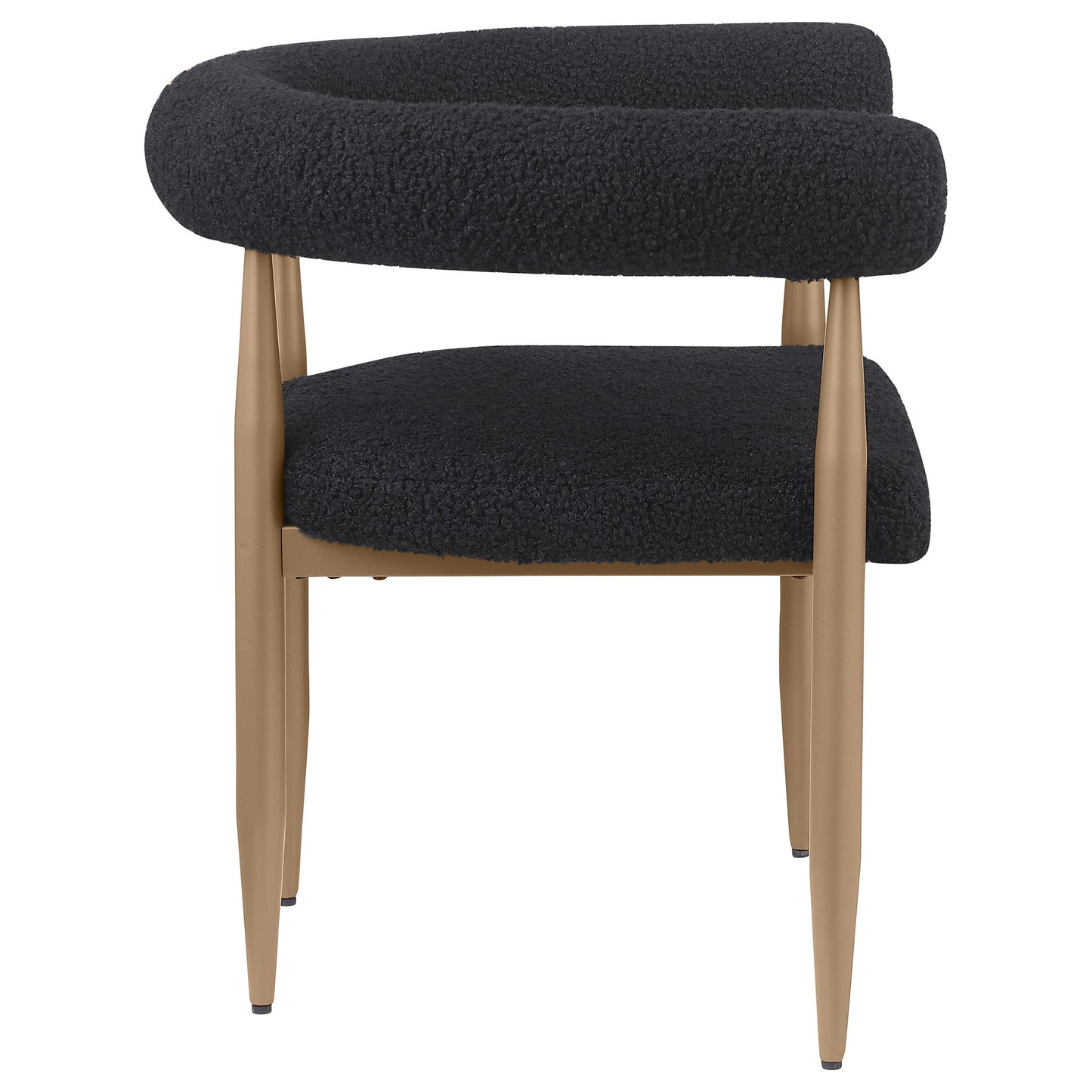 Crofton - Upholstered Dining Arm Chair (Set of 2) - Black
