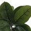 52" Tall, Artificial Plant, Rubber Tree, Indoor, Faux, Fake, Floor, Greenery, Potted, Real Touch, Decorative - Green / Black