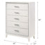 Haiden - Chest, Elegant Design