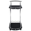 Allen - 2 Tier Bar Cart