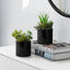 Artificial Succulent Plants (Set of 2)