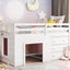 Loft Bed With Cabinet And Shelf