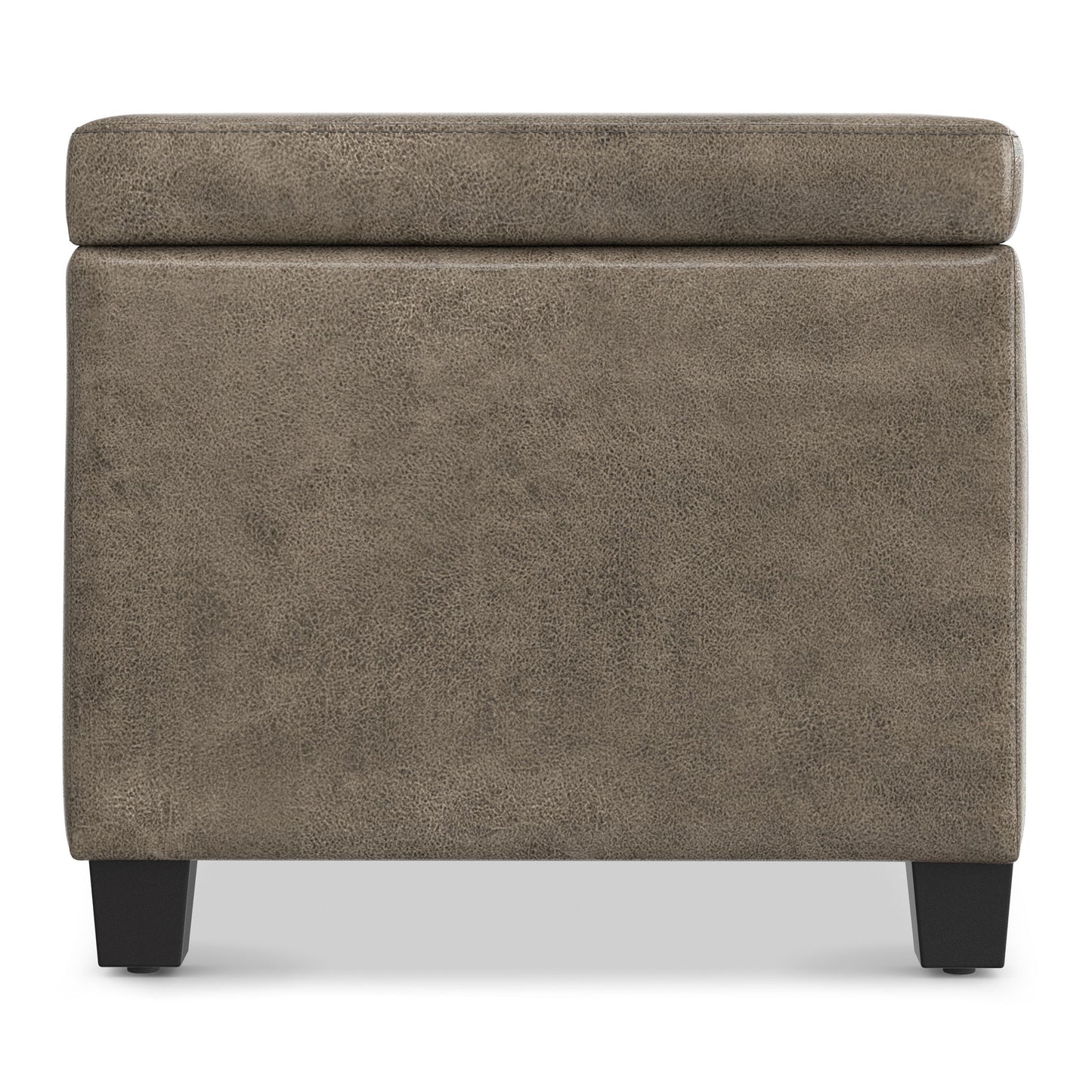 Avalon - Contemporary Storage Ottoman Bench