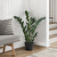 29" Tall, Artificial Plant, Zz Tree, Indoor, Faux, Fake, Floor, Greenery, Potted, Real Touch, Decorative - Green / Black