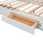 Bed With All In One Cabinet, Shelf And Sockets, Twin Long Trundle