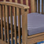 Casa - Acacia Dining Chair Set With Cushions,