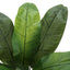 43" Tall, Artificial Plant, Banana Tree, Indoor, Faux, Fake, Floor, Greenery, Potted, Real Touch, Decorative - Green / Black