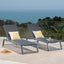 Myers - Modern Chaise Lounge Set With Adjustable Back