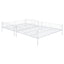 Contemporary Bunk Bed