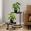 13" Tall, Artificial Plant, Monstera Calthea, Indoor, Faux, Fake, Table, Greenery, Potted, Decorative (Set of 2) - Green / Black