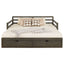 Twin Long 2 Drawer Daybed With Extendable Trundle, Storage Drawers, Fits Standard Mattress - Gray