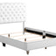 Elegant Transitional Upholstered Bed