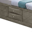 Modern Design Storage Bed With Bookcase Headboard
