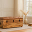 Buffalo - Storage Trunk