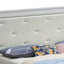 Chic Elegantly Designed Transitional Bed
