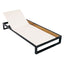 Chaise Lounge Set, 5 Position Adjustable, Flat Side Surface Storage