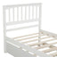 Platform Bed