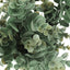 Artificial Eucalyptus Grass (Set of 2)