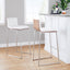 Mason Mara - Contemporary Fixed Height Barstool (Set of 2)
