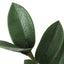 29" Tall, Artificial Plant, Zz Tree, Indoor, Faux, Fake, Floor, Greenery, Potted, Real Touch, Decorative - Green / Black