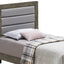 Transitional Modern Design Bed