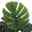 Artificial Monstera Plant