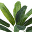 43" Tall, Artificial Plant, Banana Tree, Indoor, Faux, Fake, Floor, Greenery, Potted, Real Touch, Decorative - Green / Black