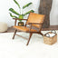 Daniel - Arm Chair - Brown / Tan