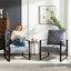 Classic Mid Century Modern Accent Chair With Durable Square Metal Frame, Armchair
