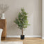 47" Tall, Artificial Plant, Acacia Tree, Indoor, Faux, Fake, Floor, Greenery, Potted, Silk, Decorative - Green / Black