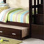 Allentown - Twin / Twin Bunk Bed With Trundle Storage - Espresso