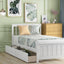 Platform Bed With Two Drawers