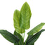 59" Tall, Artificial Plant, Strelitzia Tree, Indoor, Faux, Fake, Floor, Greenery, Potted, Real Touch, Decorative - Green / Black