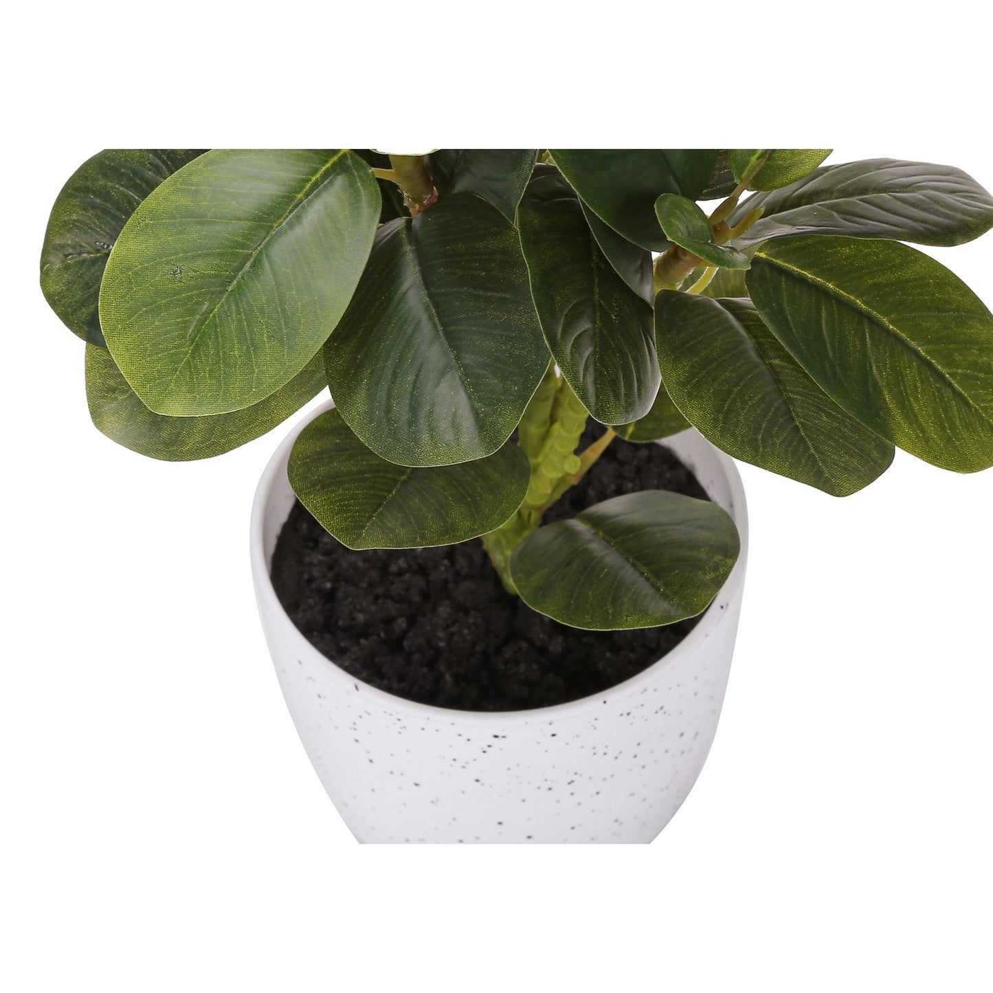 Artificial Ficus Elastica Plant (Set of 2)