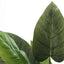 37" Tall, Artificial Plant, Aureum Tree, Indoor, Faux, Fake, Floor, Greenery, Potted, Real Touch, Decorative - Green / Black
