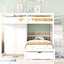 Bunk Bed With Wardrobe, Drawers