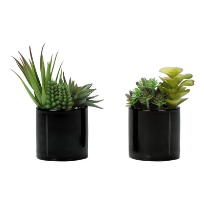 Artificial Succulent Plants (Set of 2)