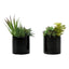 Artificial Succulent Plants (Set of 2)